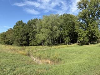 400 S Mayor Caliper Dr., Carterville, IL 62918