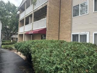 940 Beau Dr. #209, Des Plaines, IL 60016