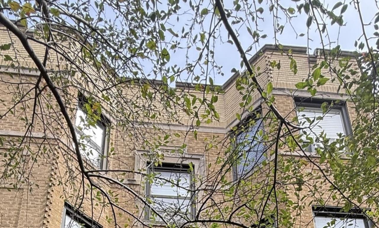 539 W Brompton Ave. #1B, Chicago, IL 60657