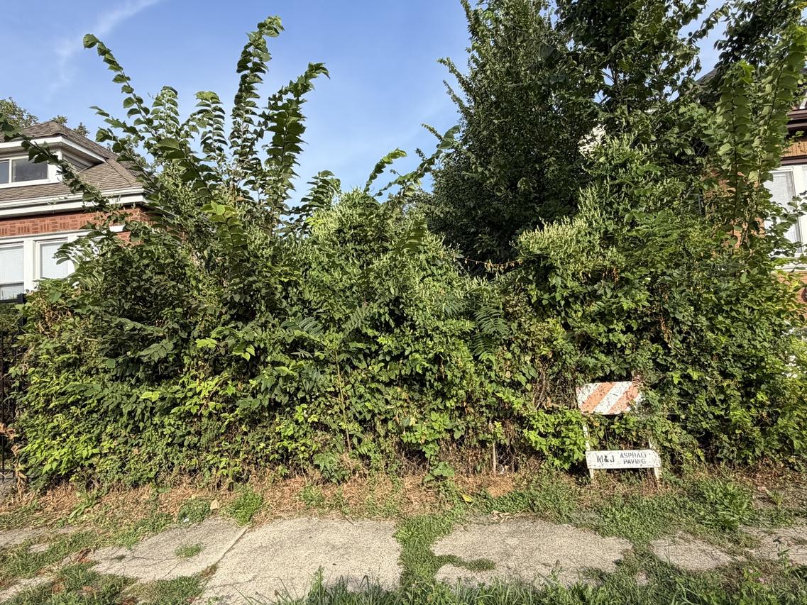 7219 S Aberdeen St., Chicago, IL 60621