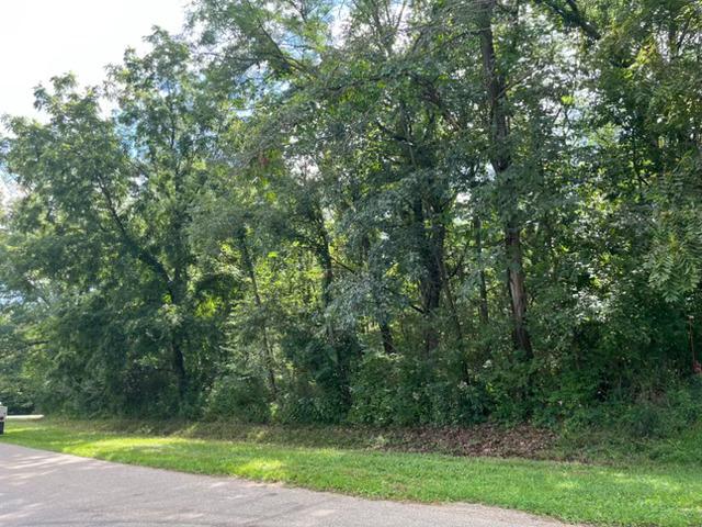 202 Lake Thunderbird Dr., Putnam, IL 61560