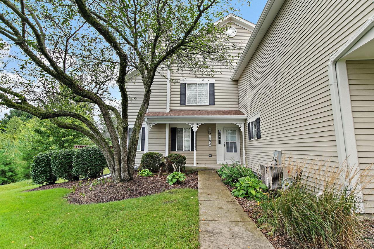 393 Lowell Dr., South Elgin, IL 60177