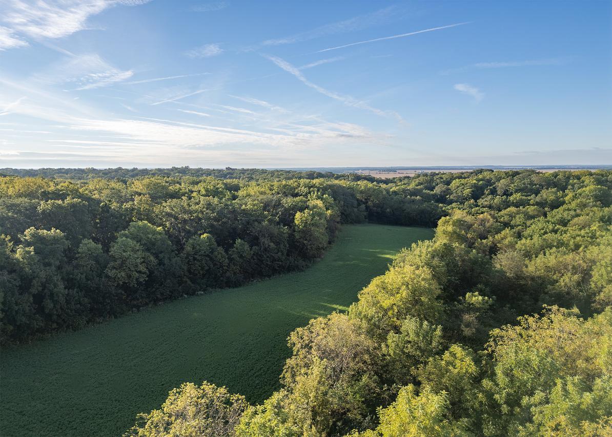 Lot 1 Mineral Rd., Fenton, IL 61251