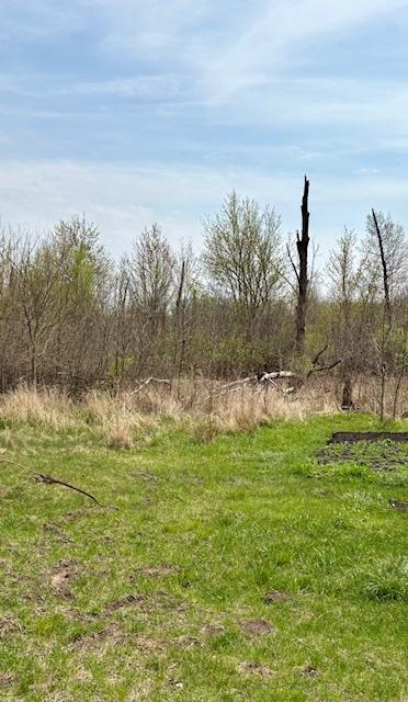 14/33 Woodhaven, Sublette, IL 61367