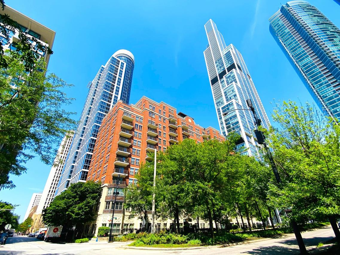 1250 S Indiana Ave. #308, Chicago, IL 60605