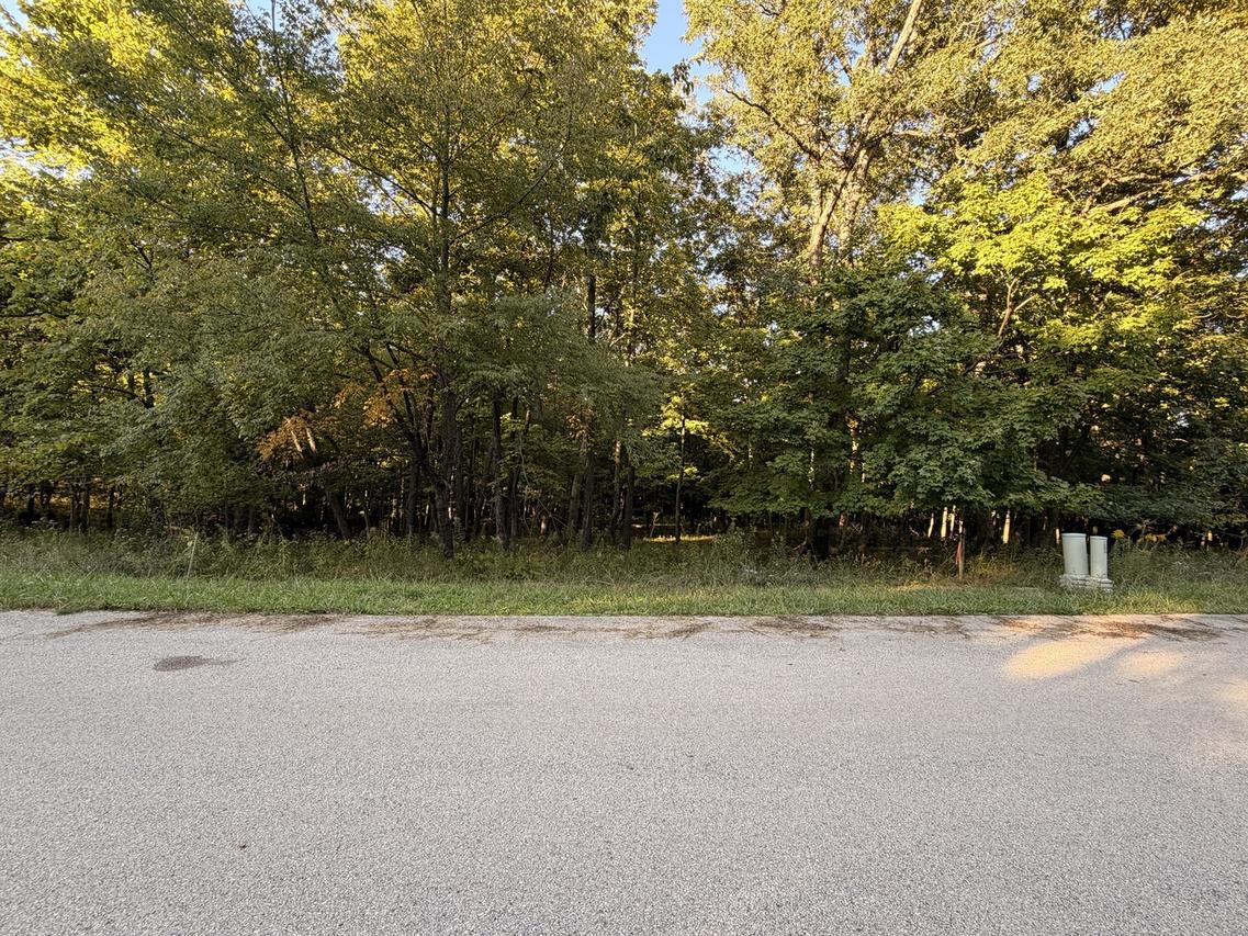 Lot 55 Eagle Chase Dr., Seneca, IL 61360