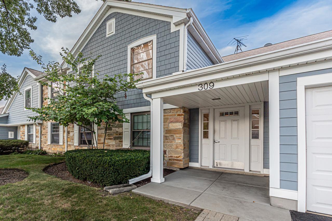 309 Maplewood Ct. #D1, Schaumburg, IL 60193