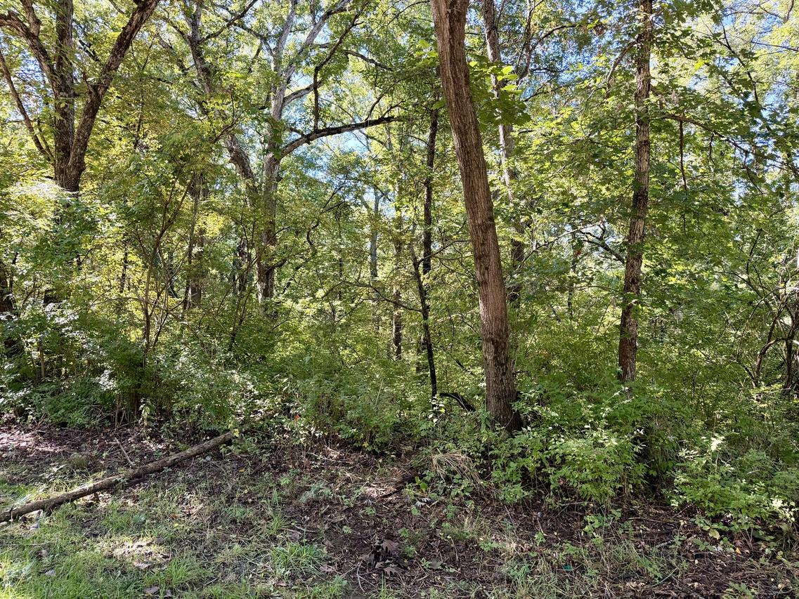 809 Missouri Dr., Dixon, IL 61021