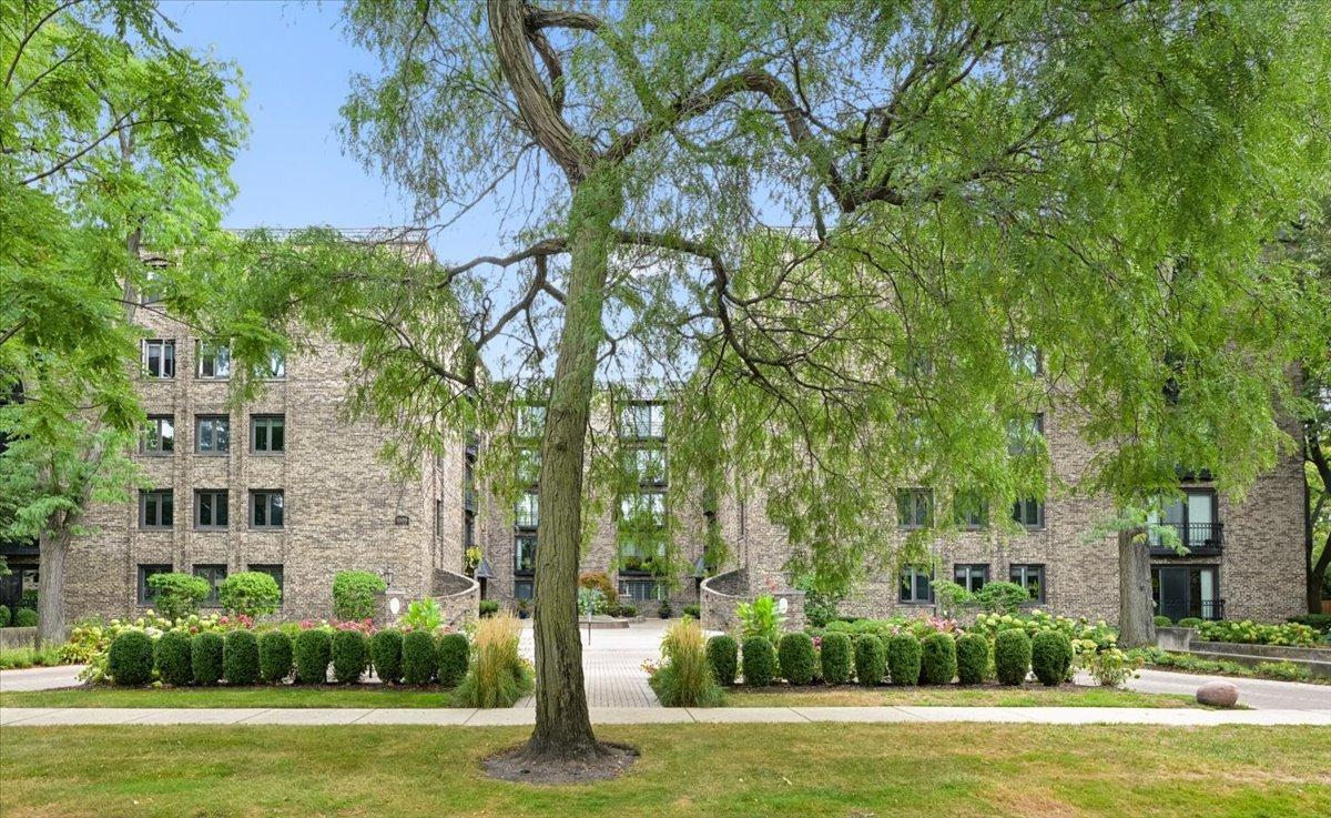 1009 Bonnie Brae Pl. #2B, River Forest, IL 60305