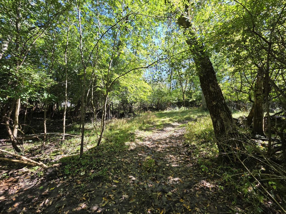 Lot 13 Pokagon Tr., Algonquin, IL 60102