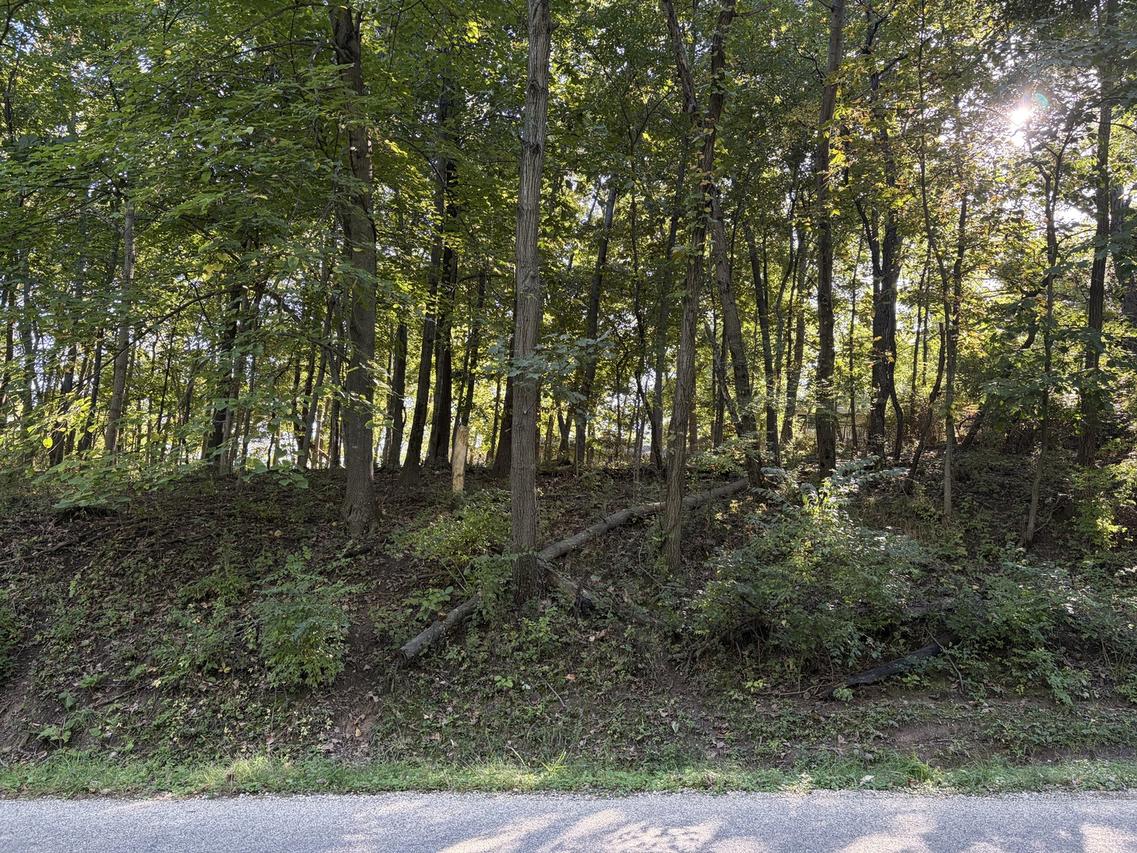 1549 Lake Wildwood Dr., Varna, IL 61375