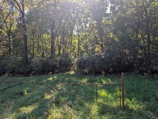 New Homes For Sale This Week in DeWitt: October 2nd to October 8th
