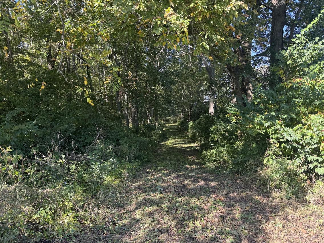 21 County Road 500, Sadorus, IL 61872