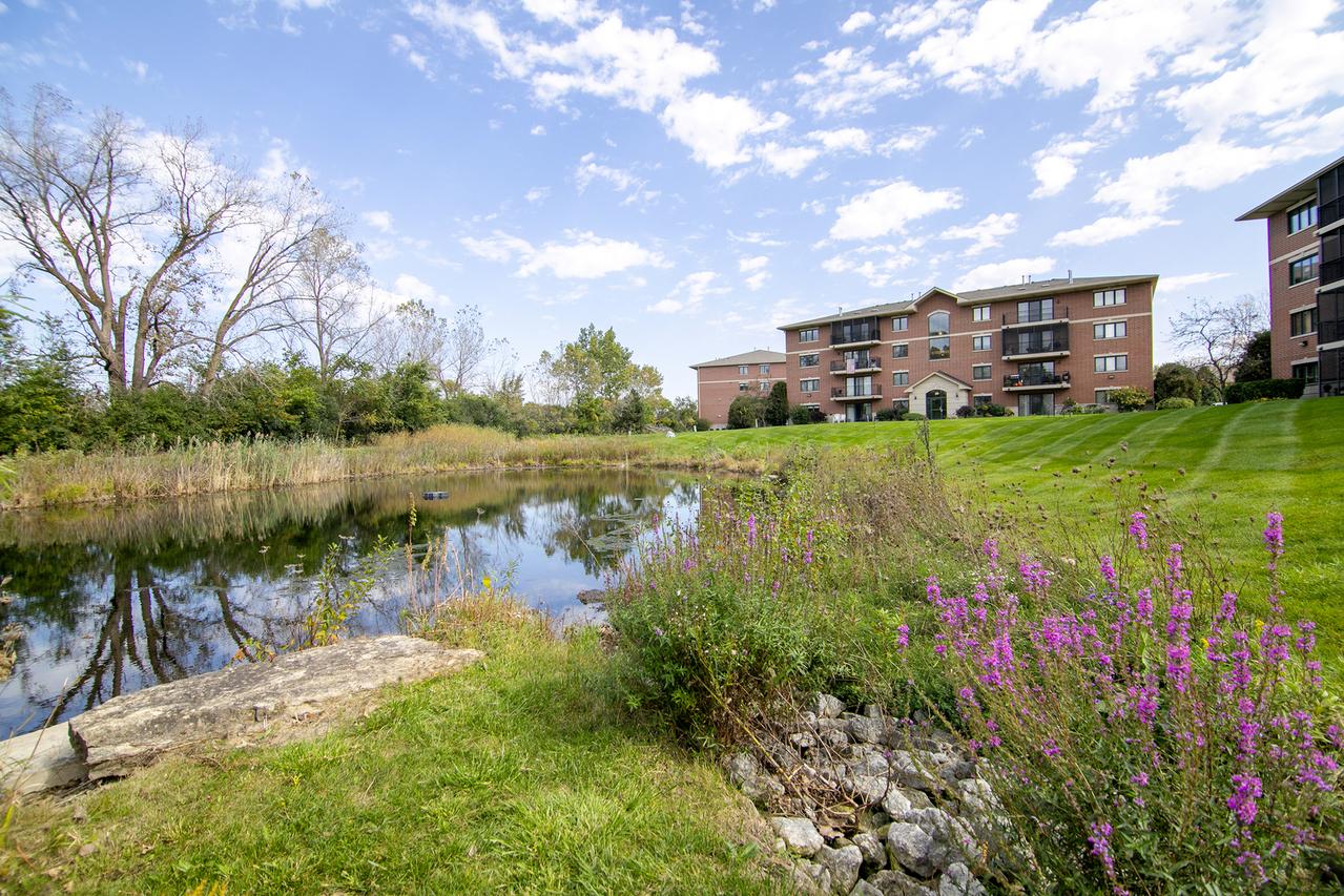 6840 W Winding Tr. #301, Oak Forest, IL 60452