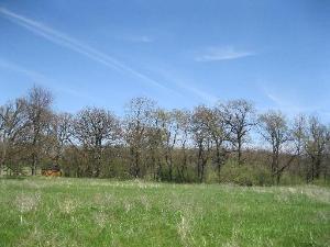 63 Stonewall Dr., Millbrook, IL 60536