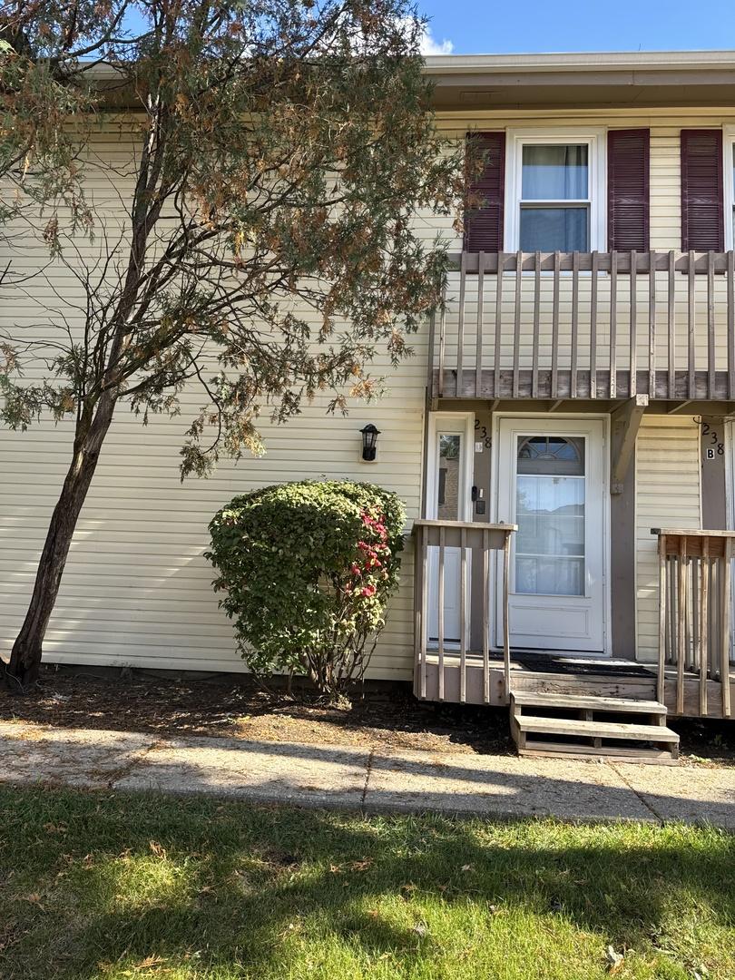 238 W Chippewa Ct. #D, Bolingbrook, IL 60440