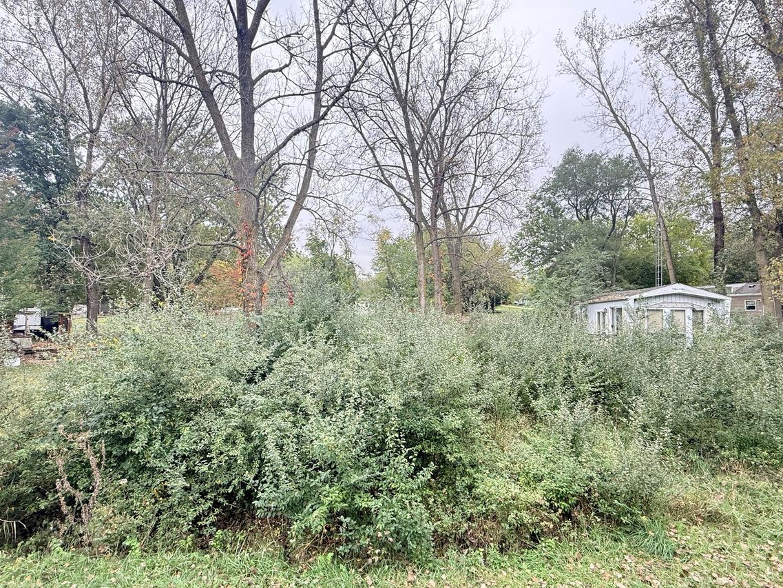 29-198/199 Woodhaven Lakes, Sublette, IL 61367