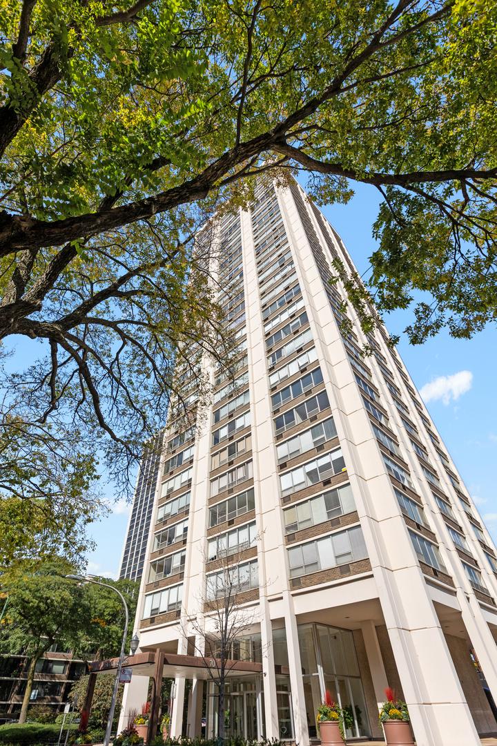 70 W Burton Pl. #305F, Chicago, IL 60610
