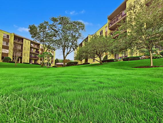 New Homes For Sale This Week That Attend Prospect High School: October 9th to October 15th