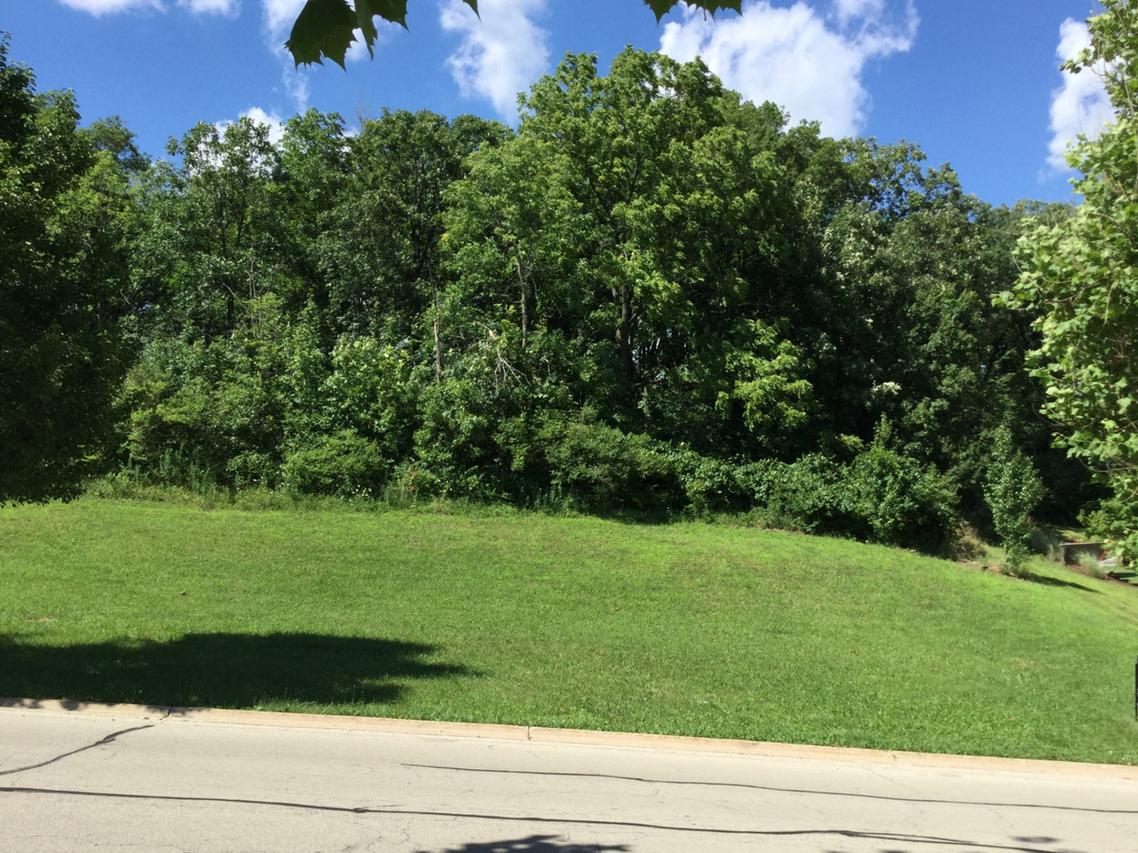 521 Rivers Edge Dr., Minooka, IL 60447