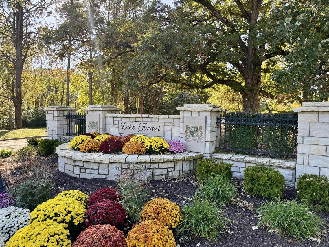 25028 Old Oak Ln., Shorewood, IL 60404
