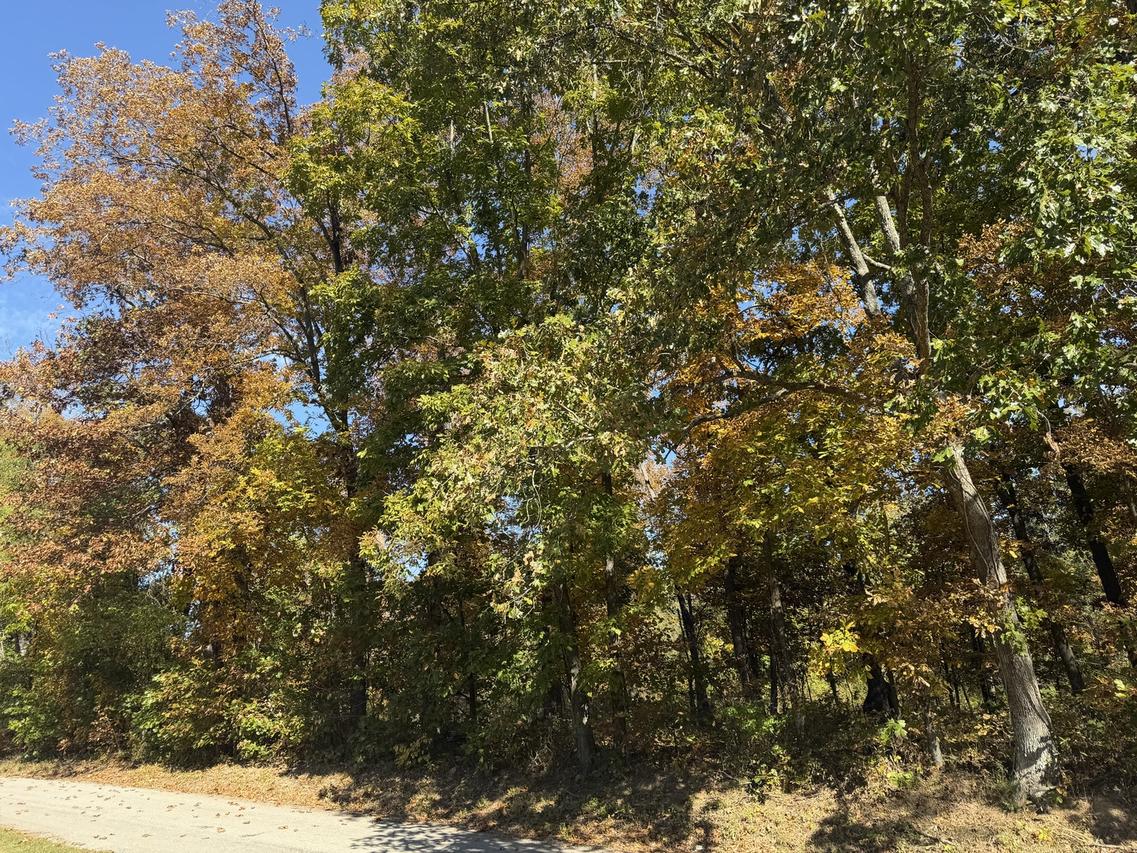 000 West Lake Rd., Pinckneyville, IL 62274