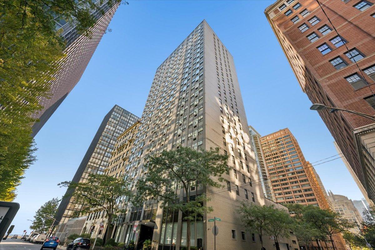 253 E Delaware Pl. #5H, Chicago, IL 60611