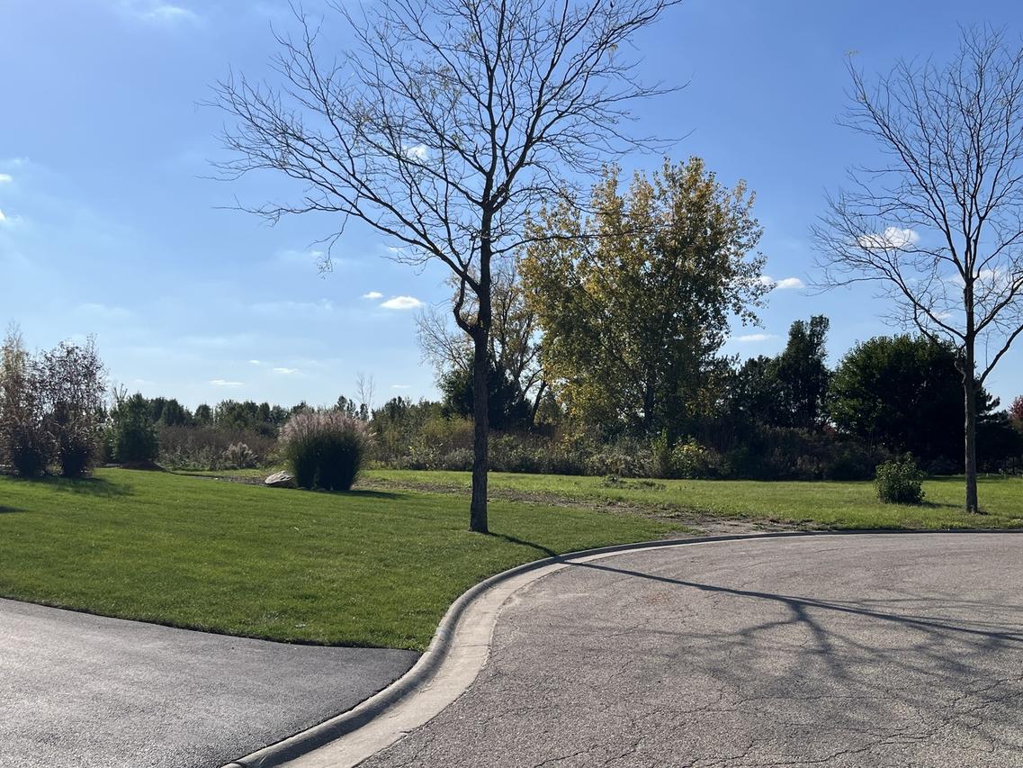 11 Wintergreen Ct., Algonquin, IL 60102
