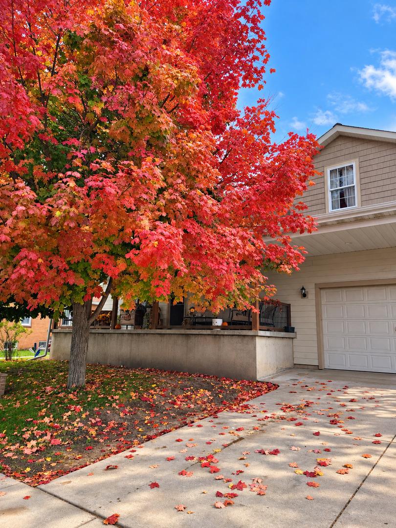 327 Clark St., Oglesby, IL 61348