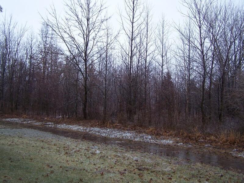 0000 Adams Dr., Marion, IL 62959