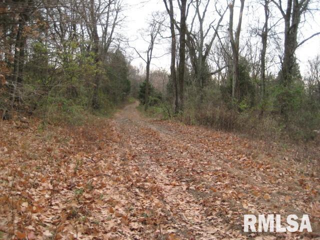 Deer Ridge Rd., Goreville, IL 62939