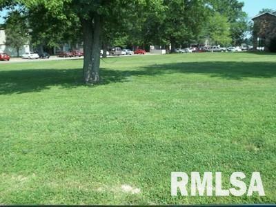 36 & 37 Della St., Benton, IL 62812