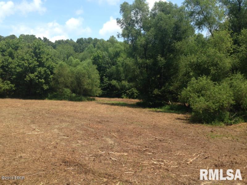 Tbd S 127, Murphysboro, IL 62966