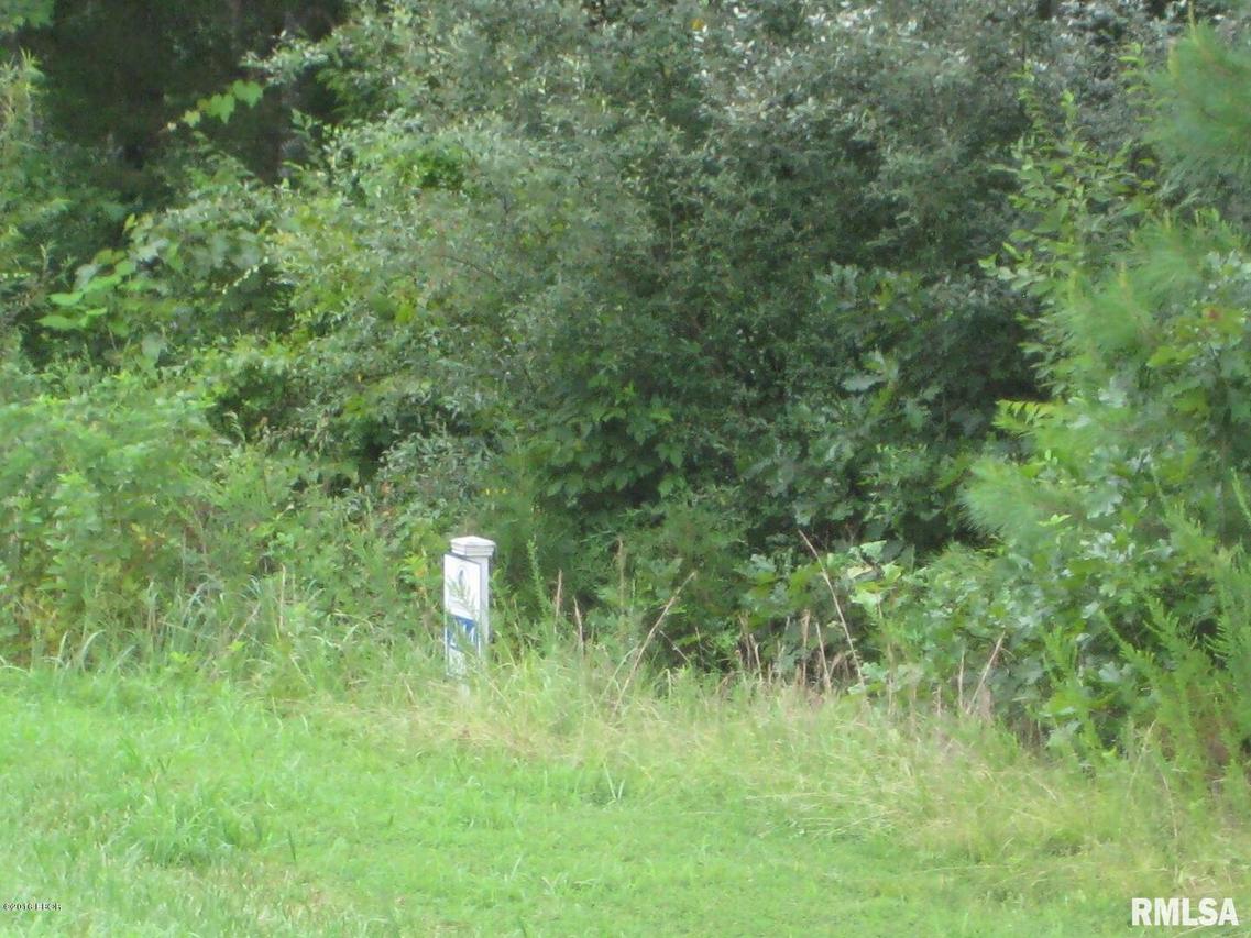 Lot 244 Parrish Ridge Ln., Goreville, IL 62939