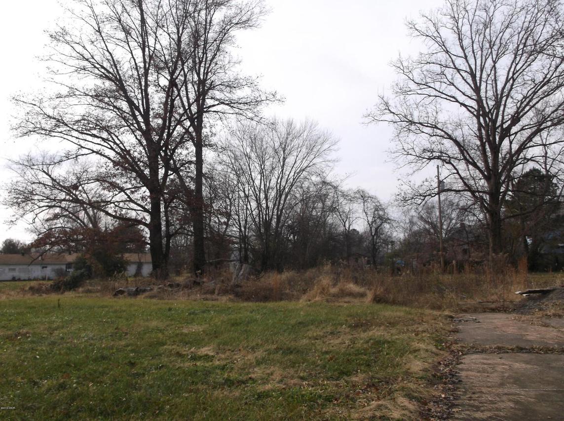 1205 Wilmoth St. #A, Harrisburg, IL 62946