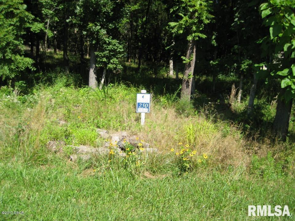 Lot 250 Parrish Ridge Ln., Goreville, IL 62939