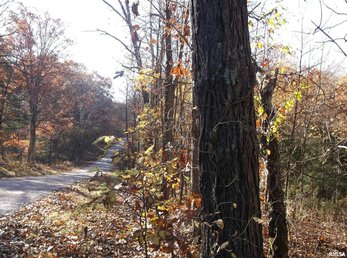 00 Ashford Rr 1 Rd., Elizabethtown, IL 62931