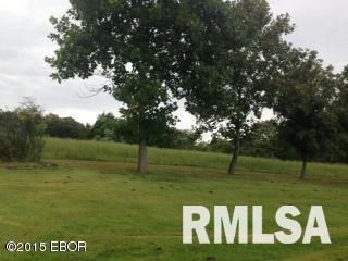 Tbd Hoffman, Murphysboro, IL 62966