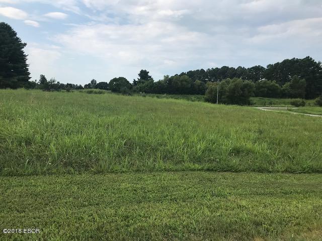 Lot 14 Cool Springs, Makanda, IL 62958
