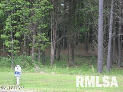 Lot 358 Parrish Ridge Ln., Goreville, IL 62939