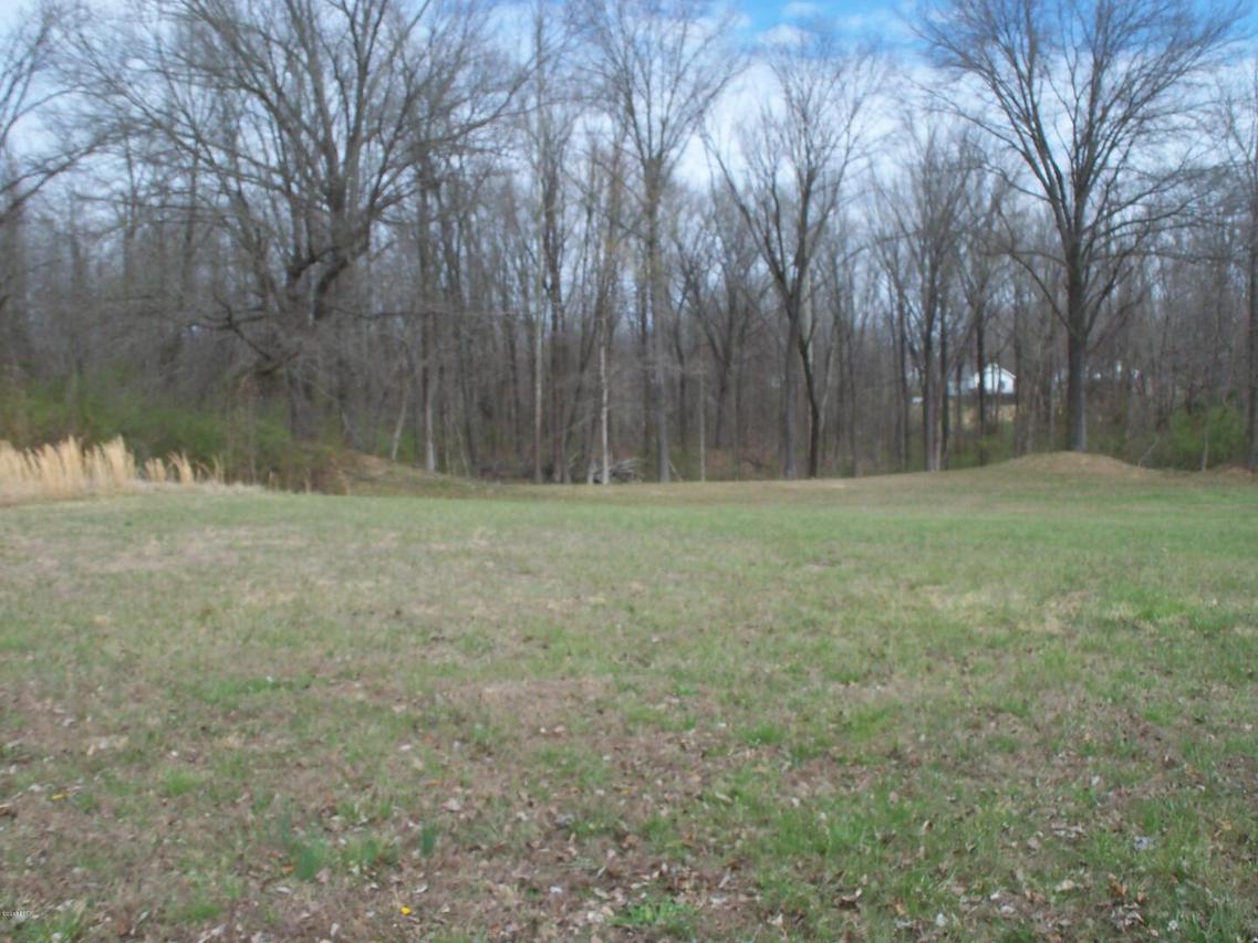 Lot 3 Morgan Dr., Murphysboro, IL 62966