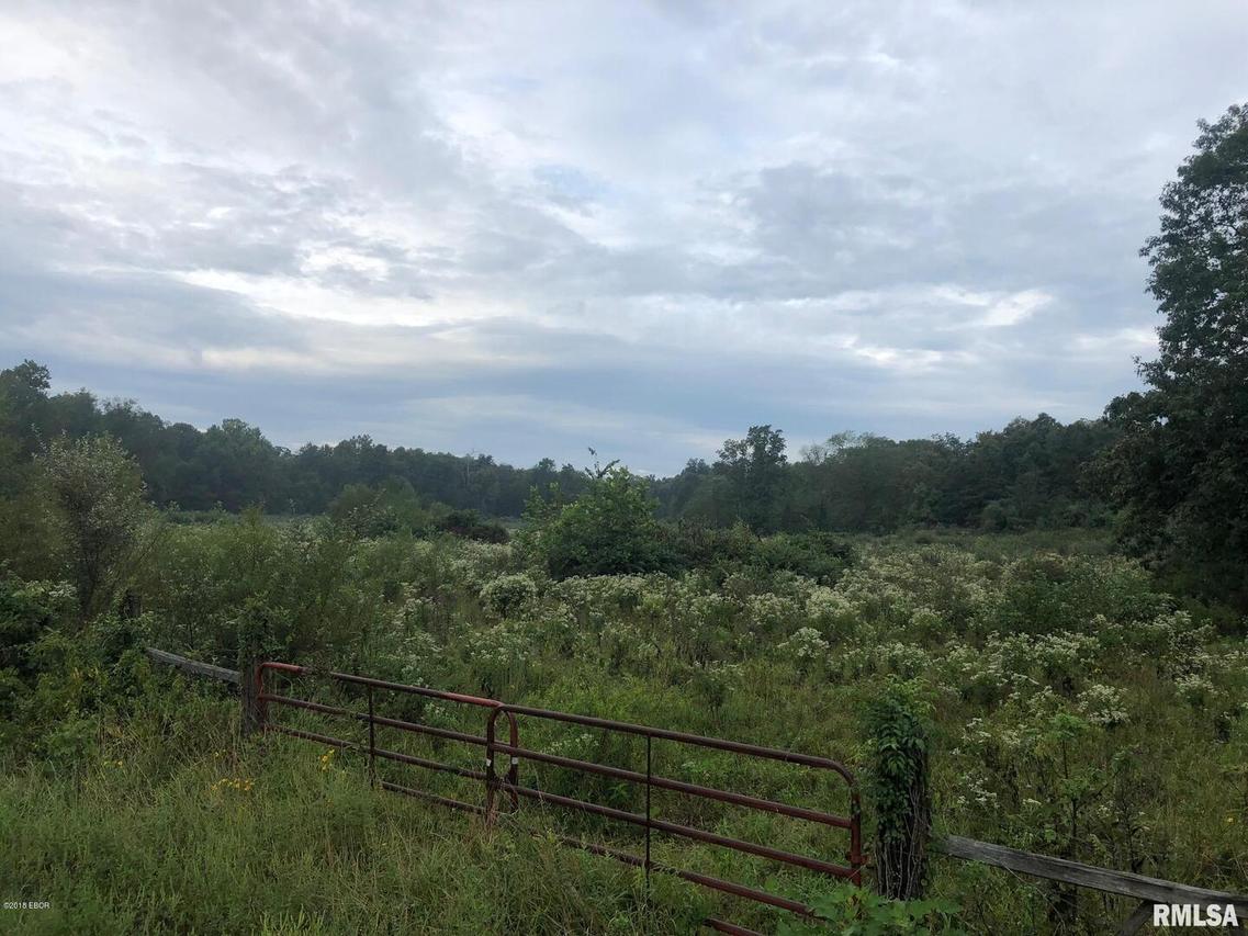 13127 Brushy Rd., Carrier Mills, IL 62917