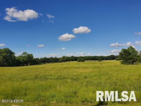 000 Freesia, Mt Vernon, IL 62864