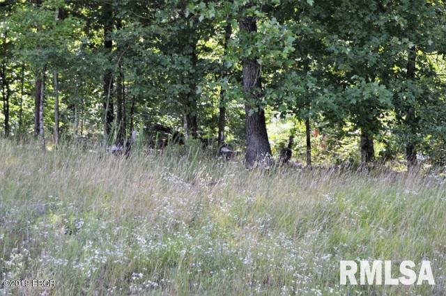 Lot 395 Eagle Ridge Ln., Goreville, IL 62939