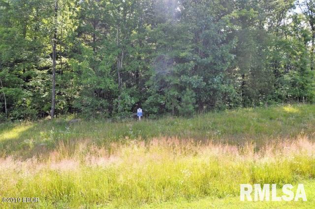 Lot 397 Eagle Ridge Ln., Goreville, IL 62939