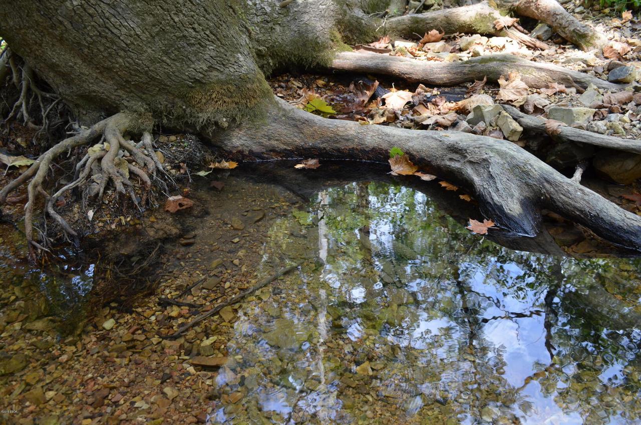 000 Hickstown Rd., Elizabethtown, IL 62931