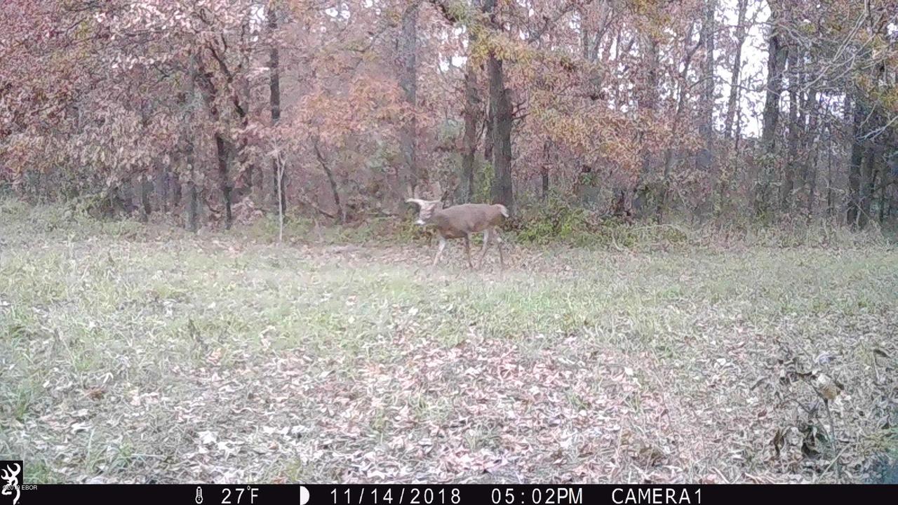 000 County Road 1800 N, Flora, IL 62839