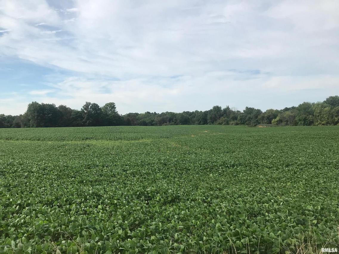 0000 E Bloomfield Rd., Woodlawn, IL 62898