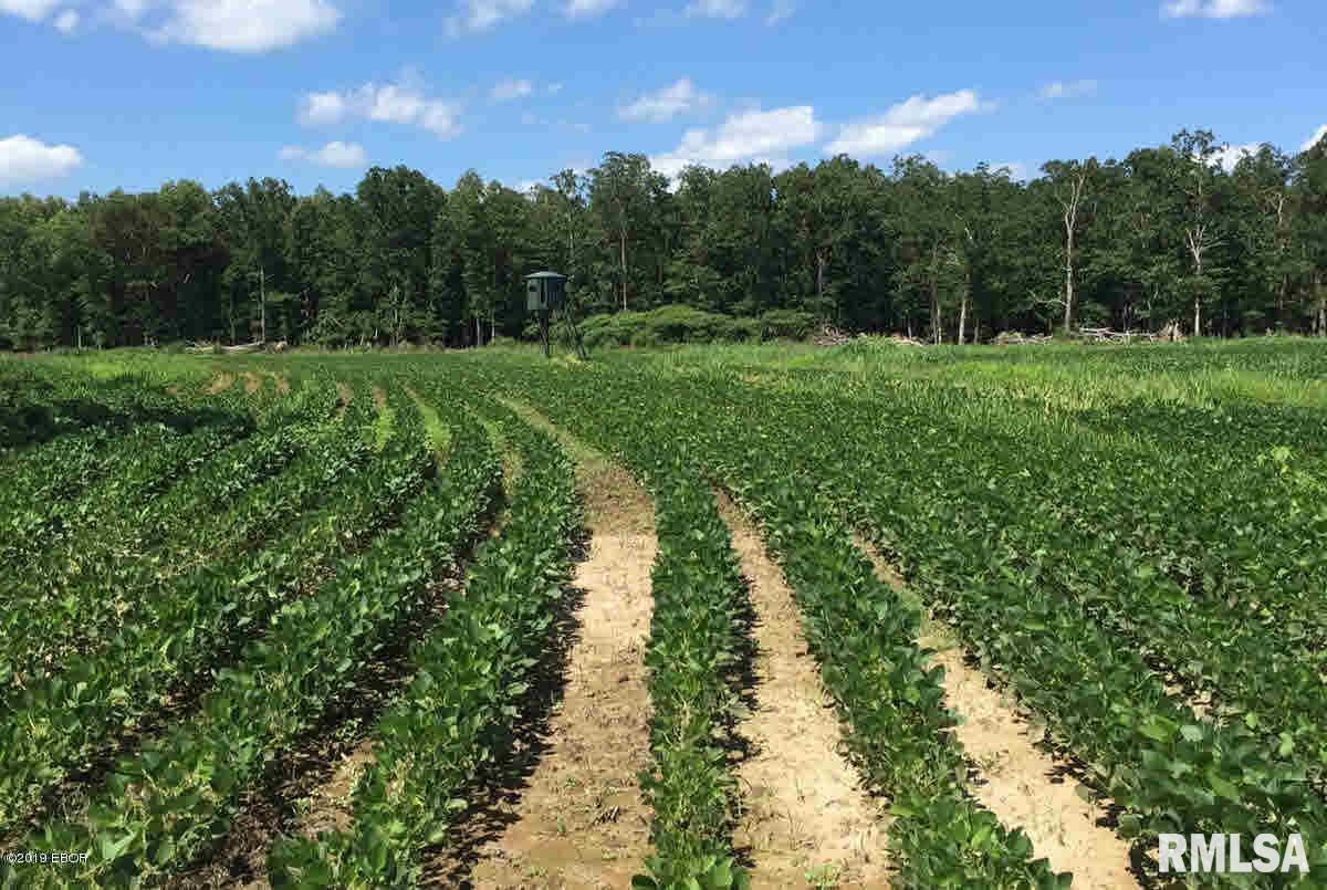 00 Ingram Hill Rd., Harrisburg, IL 62946