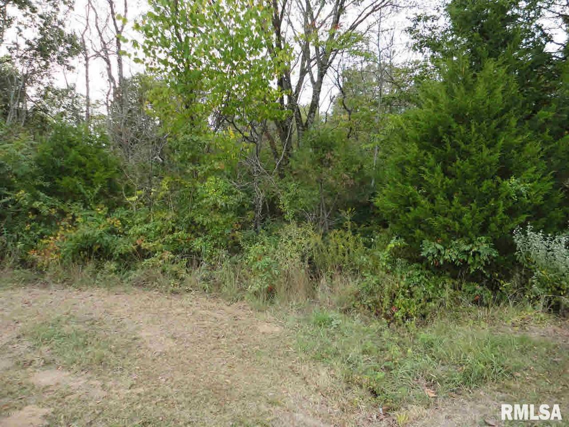 000 Route 166 Route, Creal Springs, IL 62922